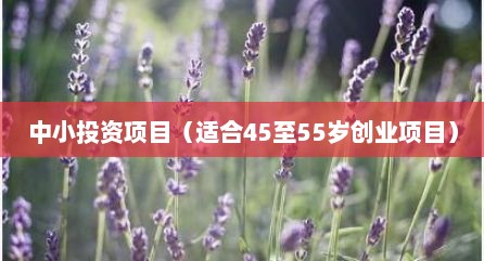 中小投资项目（适合45至55岁创业项目）