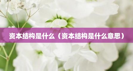 资本结构是什么（资本结构是什么意思）