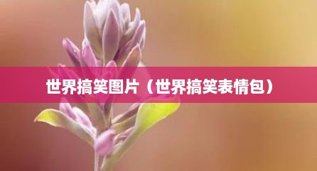 世界搞笑图片（世界搞笑表情包）