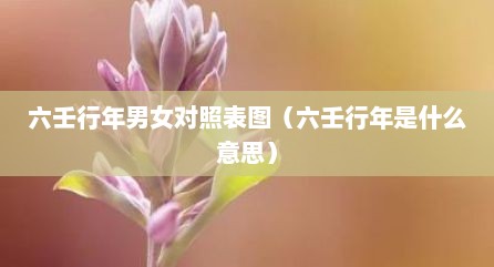 六壬行年男女对照表图（六壬行年是什么意思）
