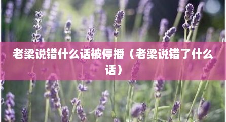 老梁说错什么话被停播（老梁说错了什么话）