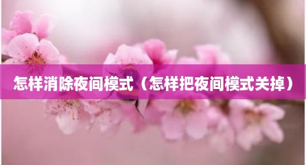 怎样消除夜间模式（怎样把夜间模式关掉）