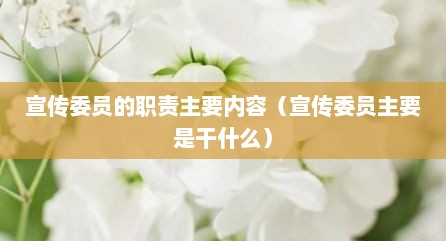 宣传委员的职责主要内容（宣传委员主要是干什么）