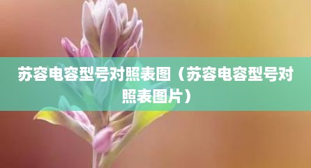 苏容电容型号对照表图（苏容电容型号对照表图片）