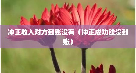 冲正收入对方到账没有（冲正成功钱没到账）