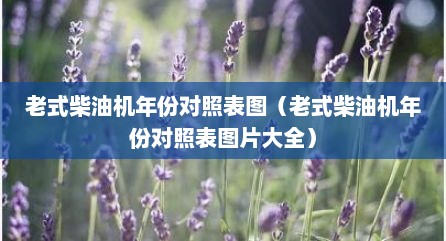 老式柴油机年份对照表图（老式柴油机年份对照表图片大全）