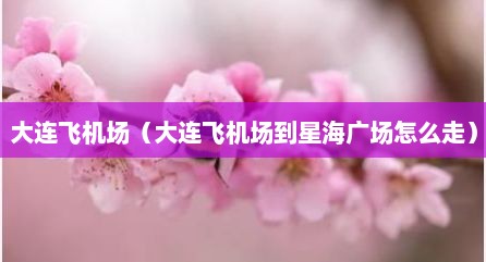 大连飞机场（大连飞机场到星海广场怎么走）