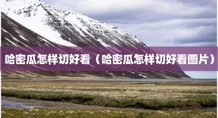 哈密瓜怎样切好看（哈密瓜怎样切好看图片）