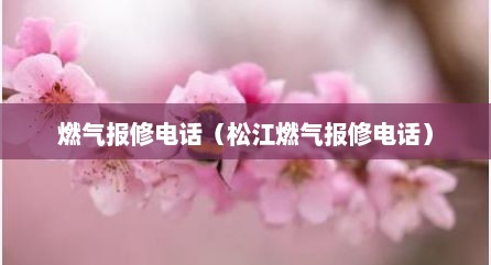 燃气报修电话（松江燃气报修电话）