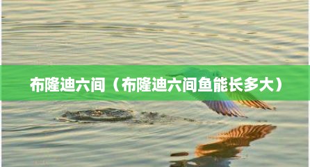 布隆迪六间（布隆迪六间鱼能长多大）