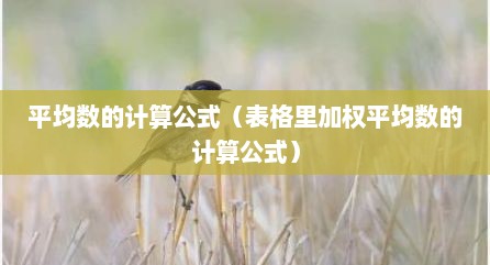 平均数的计算公式（表格里加权平均数的计算公式）