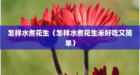 怎样水煮花生（怎样水煮花生米好吃又简单）