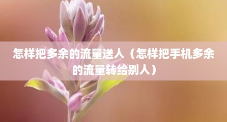 怎样把多余的流量送人（怎样把手机多余的流量转给别人）