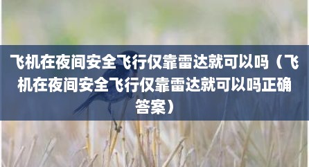 飞机在夜间安全飞行仅靠雷达就可以吗（飞机在夜间安全飞行仅靠雷达就可以吗正确答案）