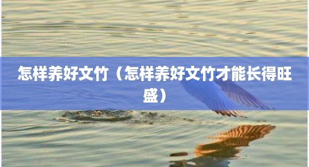 怎样养好文竹（怎样养好文竹才能长得旺盛）