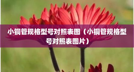 小铜管规格型号对照表图（小铜管规格型号对照表图片）