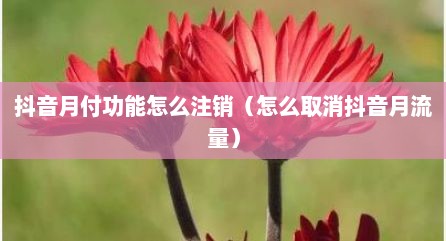 抖音月付功能怎么注销（怎么取消抖音月流量）