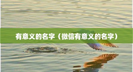 有意义的名字（微信有意义的名字）
