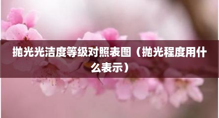 抛光光洁度等级对照表图（抛光程度用什么表示）