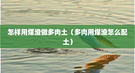 怎样用煤渣做多肉土（多肉用煤渣怎么配土）
