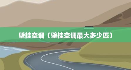 壁挂空调（壁挂空调最大多少匹）