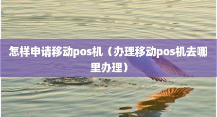 怎样申请移动pos机（办理移动pos机去哪里办理）
