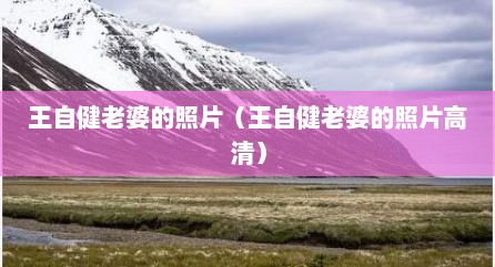 王自健老婆的照片（王自健老婆的照片高清）