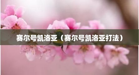 赛尔号凯洛亚（赛尔号凯洛亚打法）