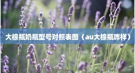 大棕瓶奶瓶型号对照表图（au大棕瓶咋样）