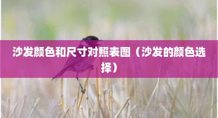 沙发颜色和尺寸对照表图（沙发的颜色选择）