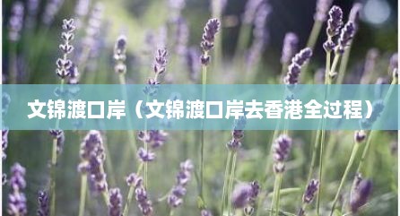 文锦渡口岸（文锦渡口岸去香港全过程）