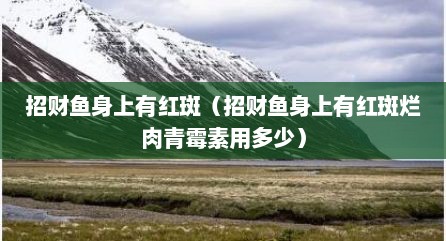招财鱼身上有红斑（招财鱼身上有红斑烂肉青霉素用多少）
