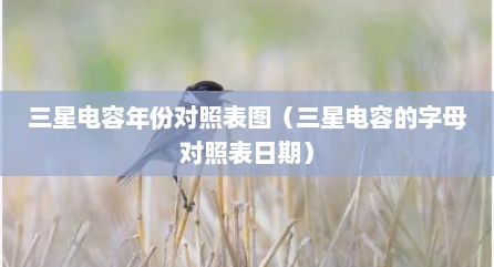 三星电容年份对照表图（三星电容的字母对照表日期）
