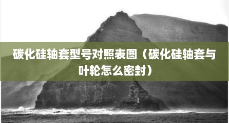 碳化硅轴套型号对照表图（碳化硅轴套与叶轮怎么密封）