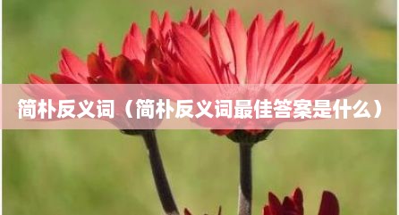 简朴反义词（简朴反义词最佳答案是什么）