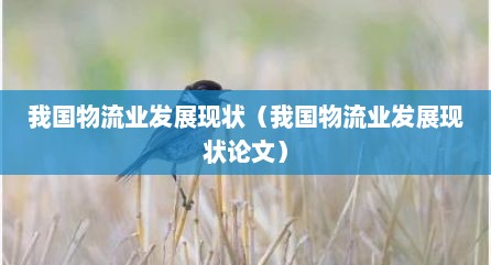 我国物流业发展现状（我国物流业发展现状论文）