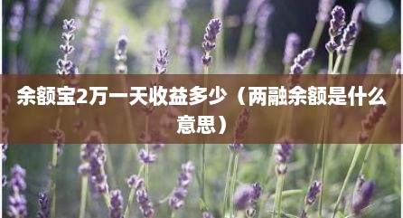 余额宝2万一天收益多少（两融余额是什么意思）