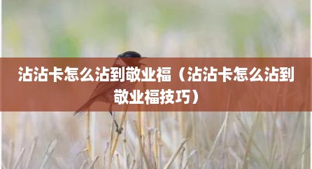 沾沾卡怎么沾到敬业福（沾沾卡怎么沾到敬业福技巧）