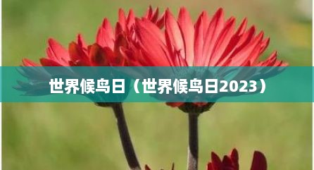 世界候鸟日（世界候鸟日2023）