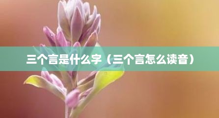 三个言是什么字（三个言怎么读音）