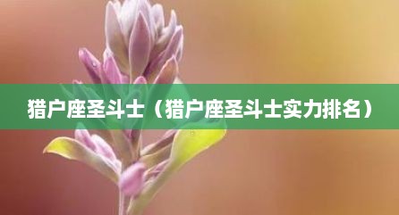 猎户座圣斗士（猎户座圣斗士实力排名）