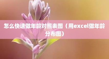 怎么快速做年龄对照表图（用excel做年龄分布图）