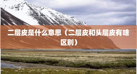 二层皮是什么意思（二层皮和头层皮有啥区别）