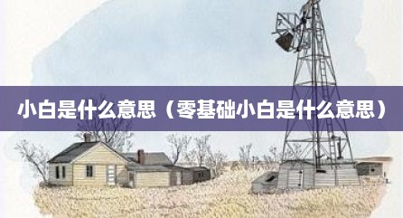 小白是什么意思（零基础小白是什么意思）