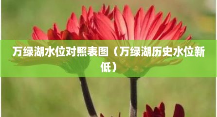 万绿湖水位对照表图（万绿湖历史水位新低）