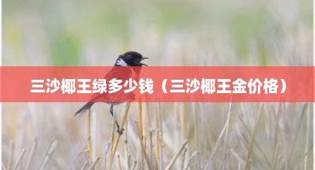 三沙椰王绿多少钱（三沙椰王金价格）