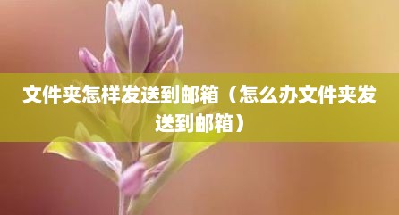 文件夹怎样发送到邮箱（怎么办文件夹发送到邮箱）