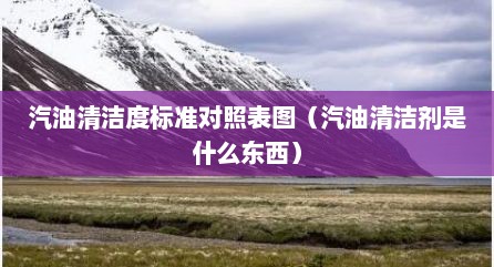 汽油清洁度标准对照表图（汽油清洁剂是什么东西）