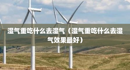 湿气重吃什么去湿气（湿气重吃什么去湿气效果最好）
