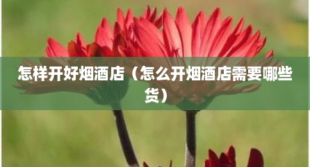 怎样开好烟酒店（怎么开烟酒店需要哪些货）
